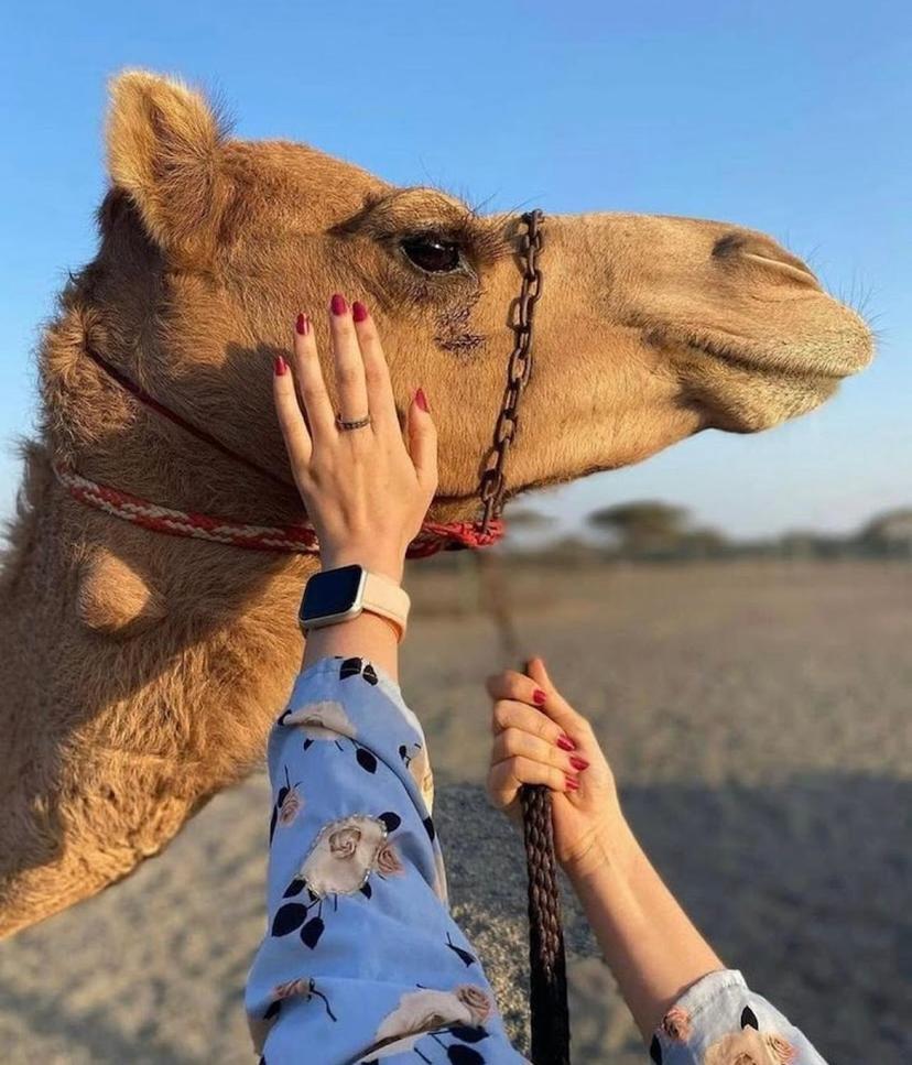 Best Desert Camp In Jaisalmer Red Velvet Екстериор снимка